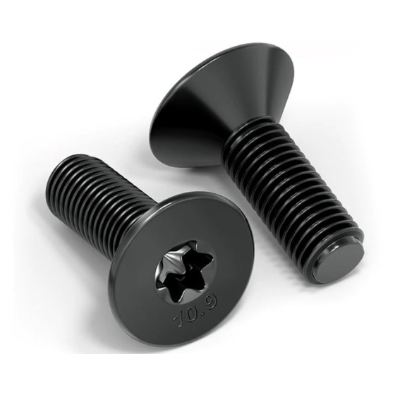 Torx recessed countersunk head screw